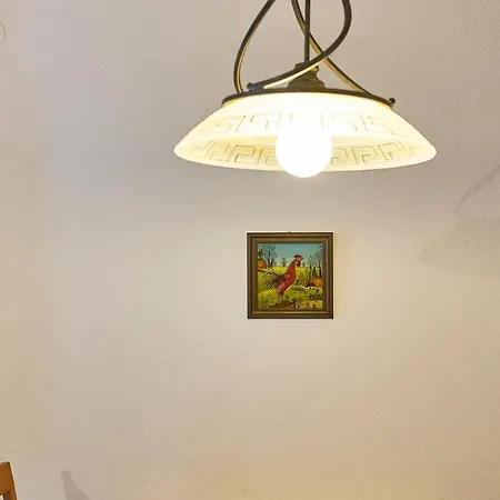Delight Apartment *